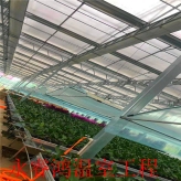 供货商定制 阳光板连栋温室大棚 建设方案